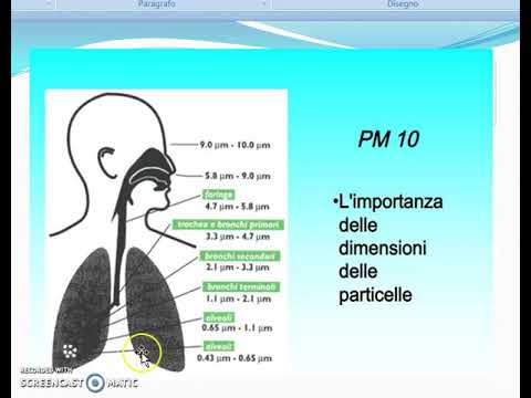 Inquinamento atmosferico e  malattie polmonari