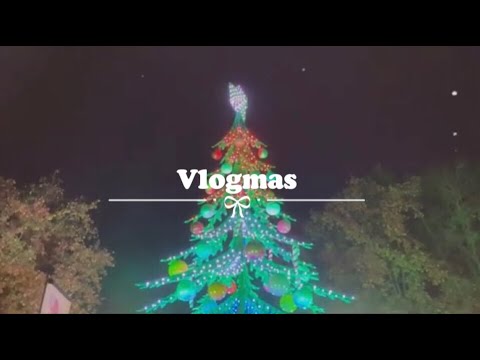 17_NHẬT KÍ NHÀ QUÊ || VLOGMAS | Đi xem phim, dạo chợ đồ nội thất cũ, lần đầu đi chợ Noel ở Bordeaux