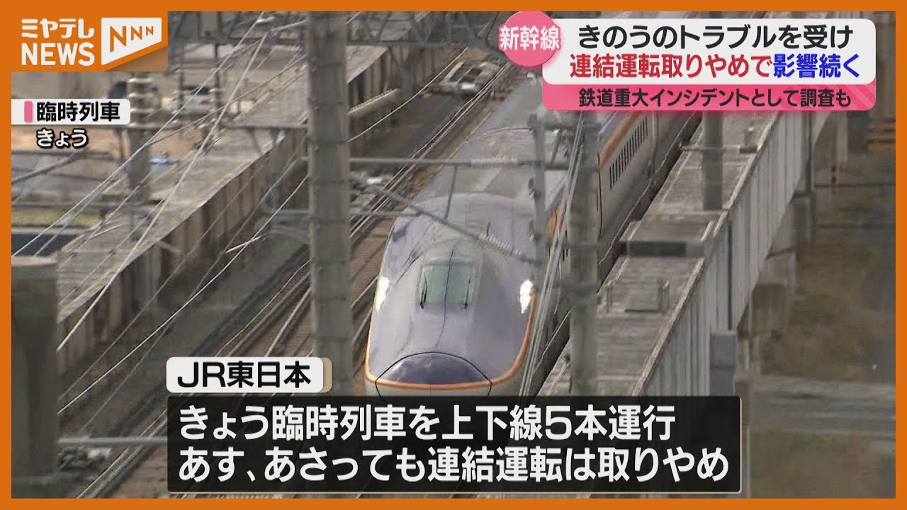Tohoku Shinkansen: Any Link to Last Year's 