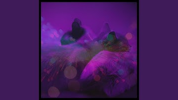 Relaxed Ambience for Lazy Cat Days