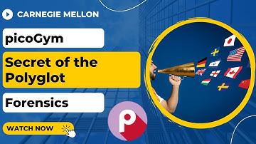 picoGym (picoCTF) Exercise: Secret of the Polyglot