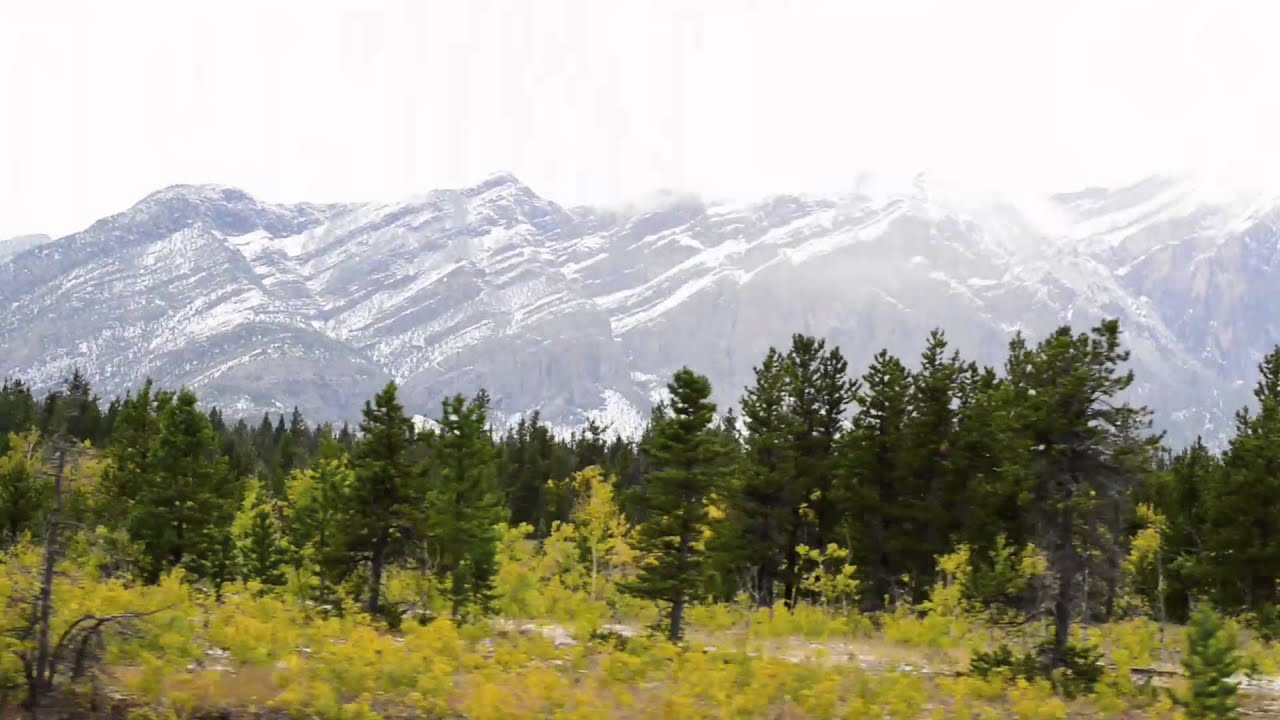 Sioux Chief Contractor Profile - Calgary