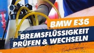 Bremsflüssigkeit prüfen und wechseln – so geht's kinderleicht 💪🏼