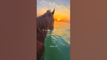 وفي السماء رزقكم وما توعدون...♡ | #قرآن #تلاوة_خاشعة #فارس_عباد #تابعوني #لايك #اكسبلور