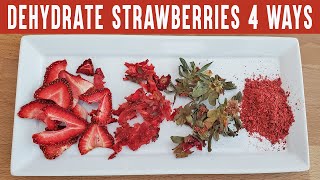 What to do with Too Many Strawberries?!  | Dehydrate Strawberries in 4 ways!