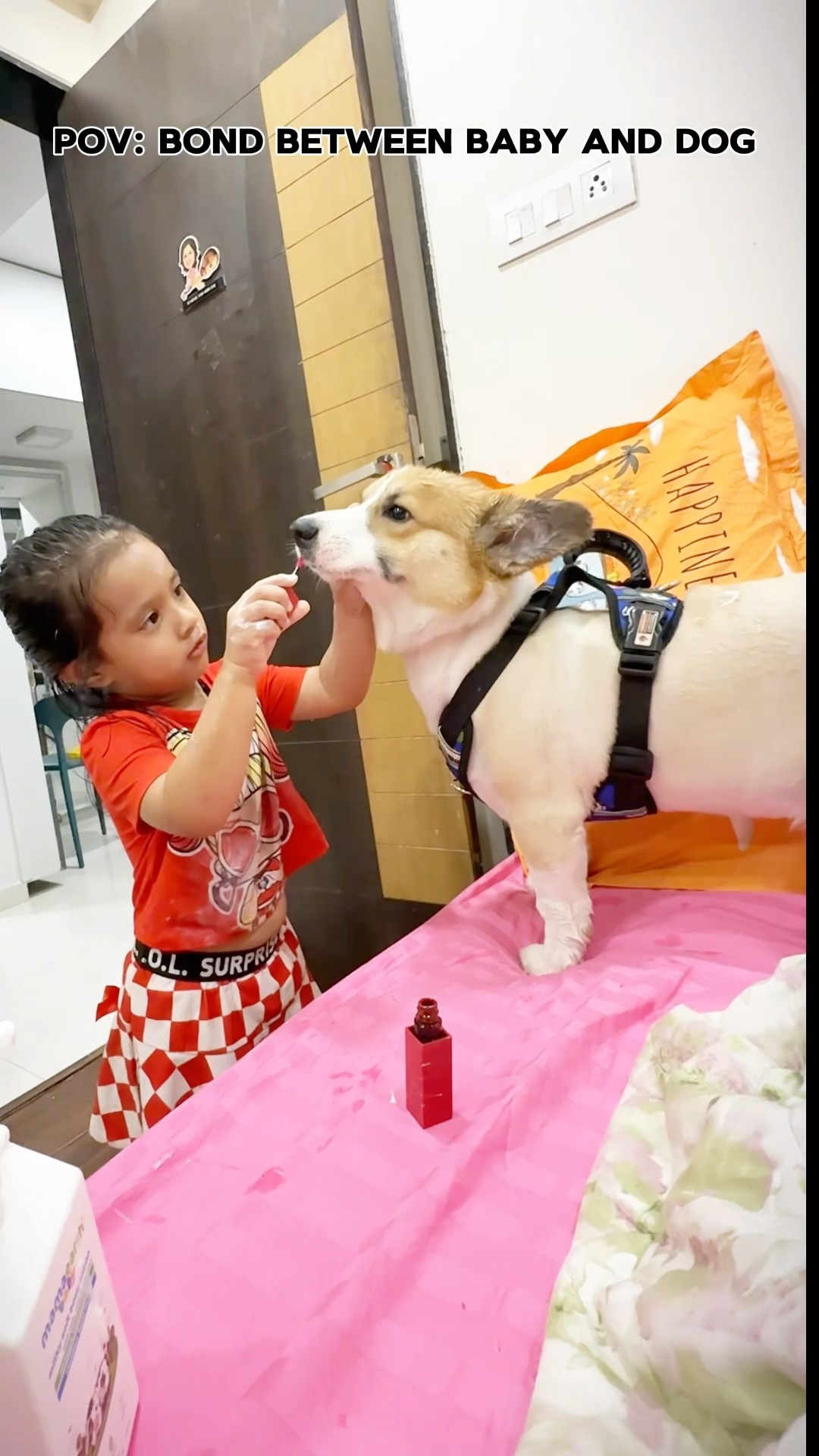 Aadyabloves to pamper her dog Coco? #dogsforkids #littleglove #Shorts