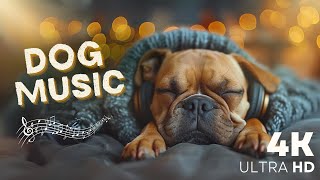Relaxing Music For Dog: Calm Your Energetic Dog with this Soothing Music | Dog Music in 4K