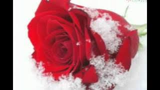 Download lagu For you to remember - Leon Haines Band.