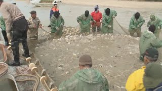 Жайық-Каспий бассейнінде балық аулау маусымы басталды