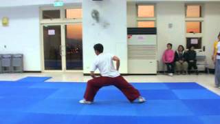 少林拳法1020119