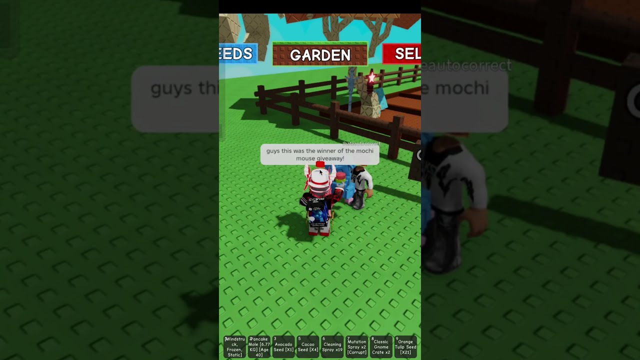 Mochi Mouse Giveaway Winner Roblox Shortvideo Shorts Growagarden