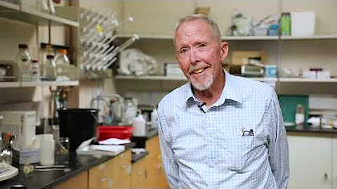 David Whitten | 2020 STC.UNM Innovation Fellow