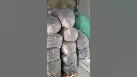 Chuối hột rừng Tây Nguyên #phunu chuối hột rừng Tây Nguyên #lamdep chuối hột rừng Tây Nguyên