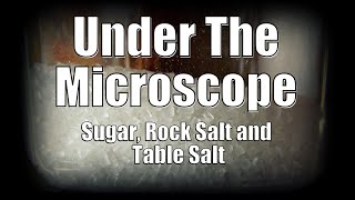 Sugar, Rock Salt and Table Salt Crystals Under The Microscope