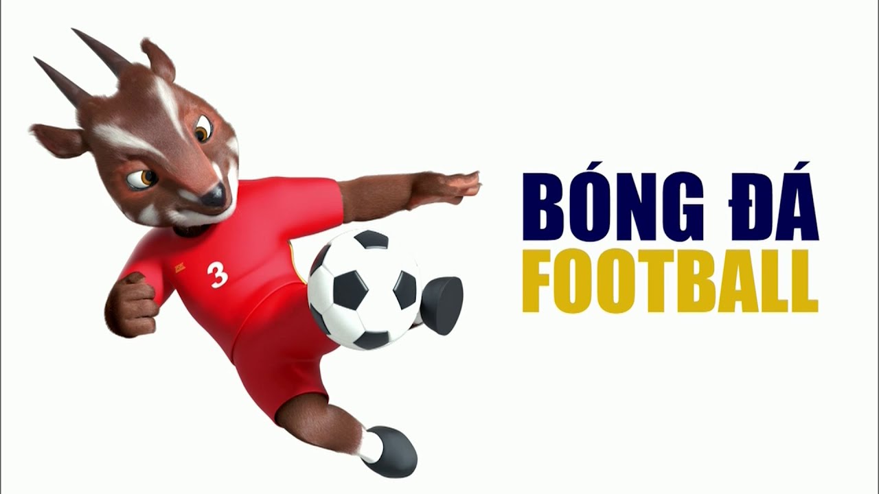 SEA Games 31 / Official TV Opening (old version) / Viet Tri Stadium Intro