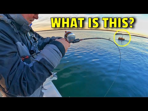 How to Catch Stripers in ALL Freshwater Striped Bass LAKES. Live  Bait-SHAD/HERRING #4 Simrad 