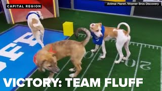And the winner is: Team Fluff!