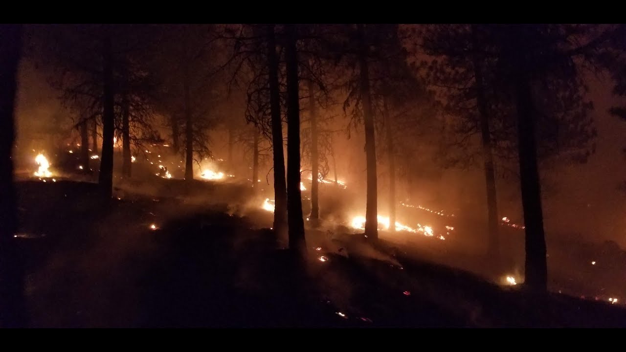Okanogan Wenatchee National Forest Fire Management