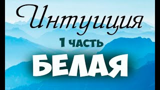 Что такое Белая интуиция? По книге Ии Тамаровой "Соционика Как понять себя и других" Соционика видео