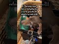 So now she likes them?! #foryou #puppy #love#dogs#funny#short#shorts#trend#trending#viral