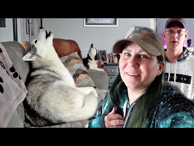 Huskies Howl the Sickness Away