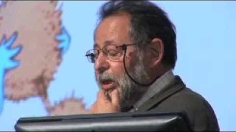 Imaging the Brain, Reading the Mind, Mesulam