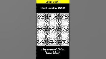 Can You Solve 4 Hard Maze Puzzles in 2 Minutes? 🧠🔥
