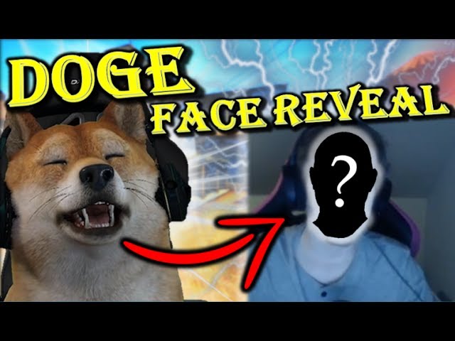 When Doge Plays Csgo Accidental Face Reveal Best Doge Theonemanny Moments Fails Funny Moments Youtube