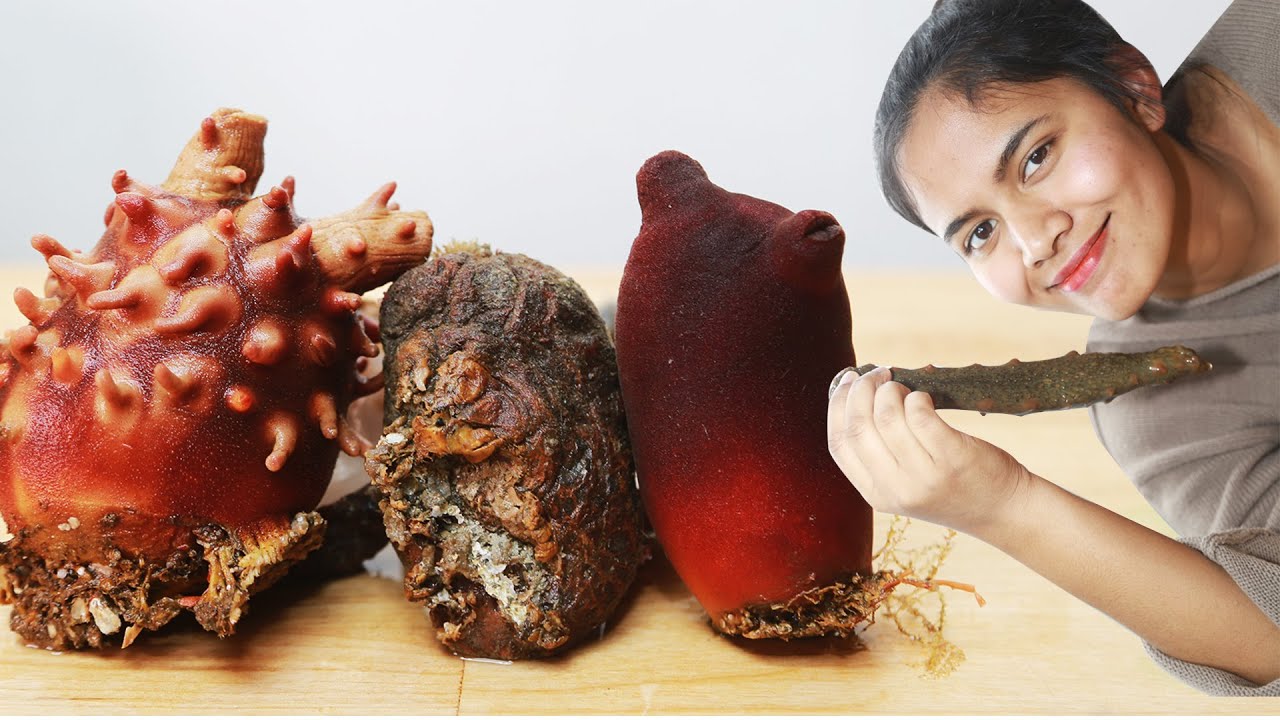 ENG) Mukbang 멍게 삼총사 해삼 먹방 비단멍게 돌멍게 꽃멍게 sea cucumber sea squirt 조안나