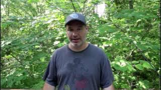 Canon All-I vs IPB video comparison of compression