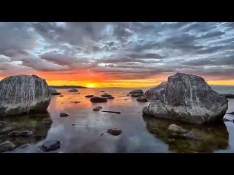 أنشودة رائعة وشاء الله أمرا قد قضاه