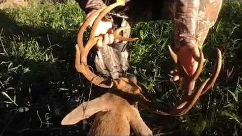 Hunting Pressured Deer - Deer & Deer Hunting TV full episode