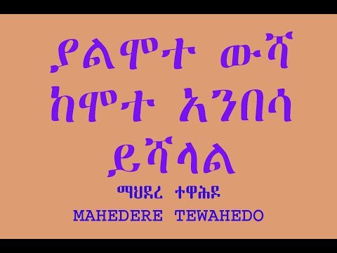 ቪዲዮ: ለመምረጥ የትኛው ውሻ ነው?