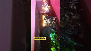 innovation 1 of ariya veteriner in date 23.4.2026