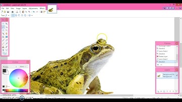 Cropping in Paint.Net