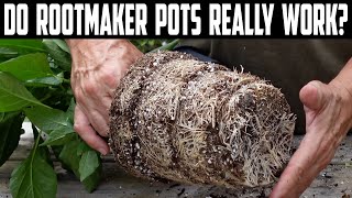 Do Rootmaker Pots Really Work?