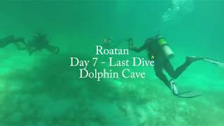 Roatan Honduras - Turquoise Bay Resort Day 7 last dive