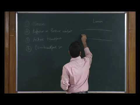 Bio class 11 unit 15 chapter 05   -human physiology-digestion and absorption   Lecture -5/5