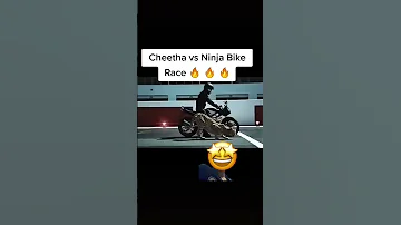 Cheetah vs ninja bike race🐆💨 #attitude #ninjabike #rider #funny #respect #bike #viral #edit