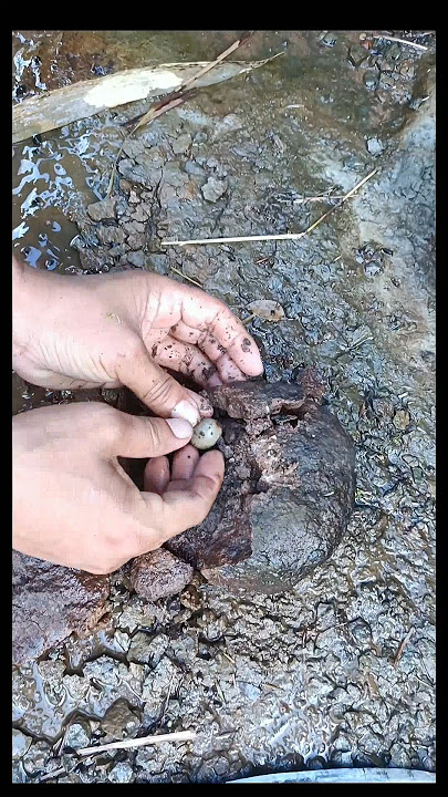 batu petir Ponari telah ditemukan kembali ternyata di dalamnya ada mustika sakti #mistis #viral