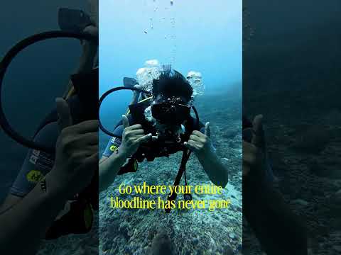 #bali #scubadiving #scuba #shorts #adventureawaits #gilitrawangan #travel #enjoying #fishes #love