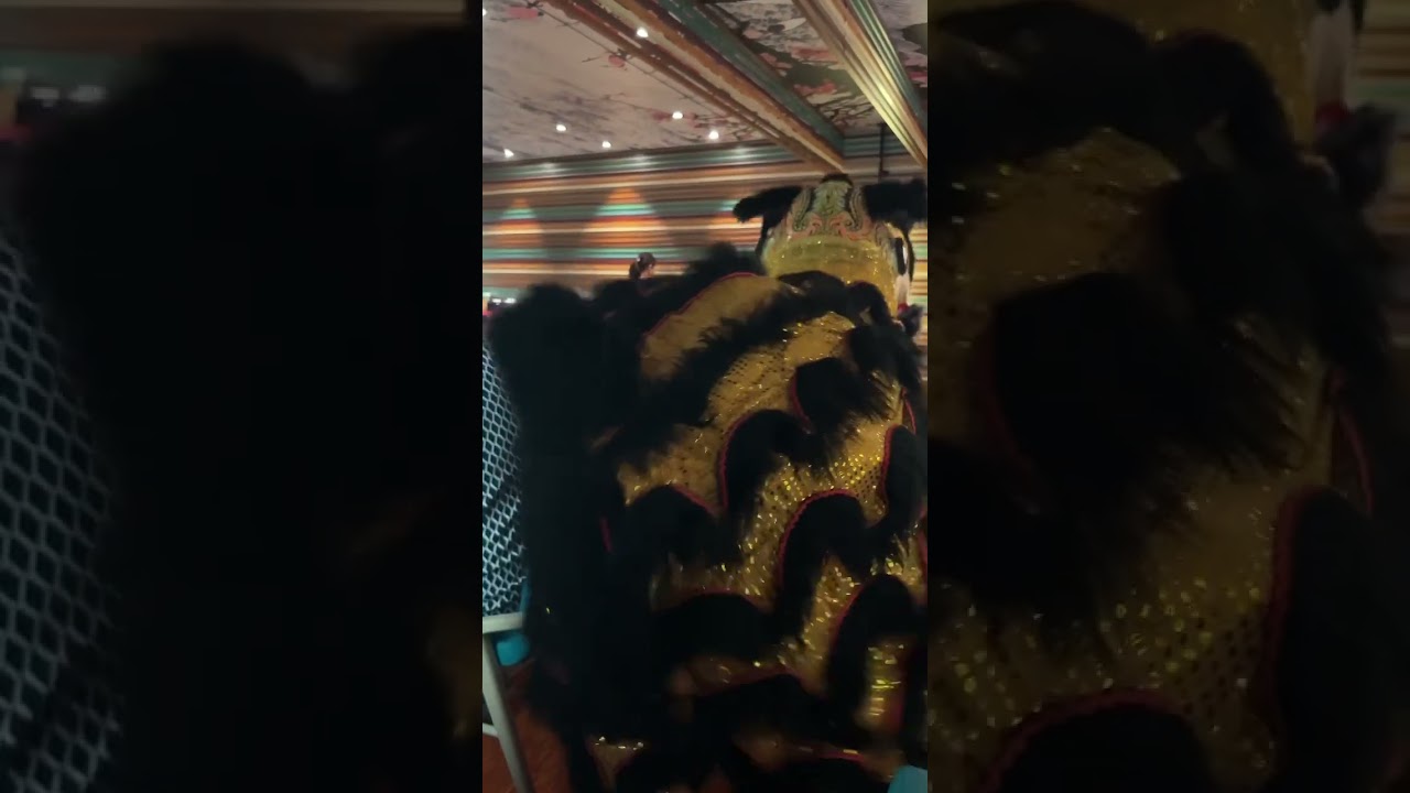 cruise ship fight