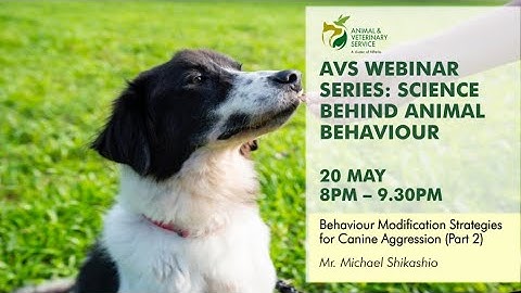 AVS Free Webinar Series | Behaviour Modification Strategies For Canine Aggression (Part 2)