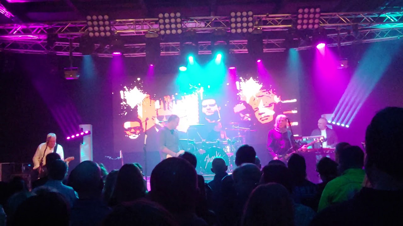 The Sharks Cover Elvis Costello at Club XL, Harrisburg, PA Nov. 2019