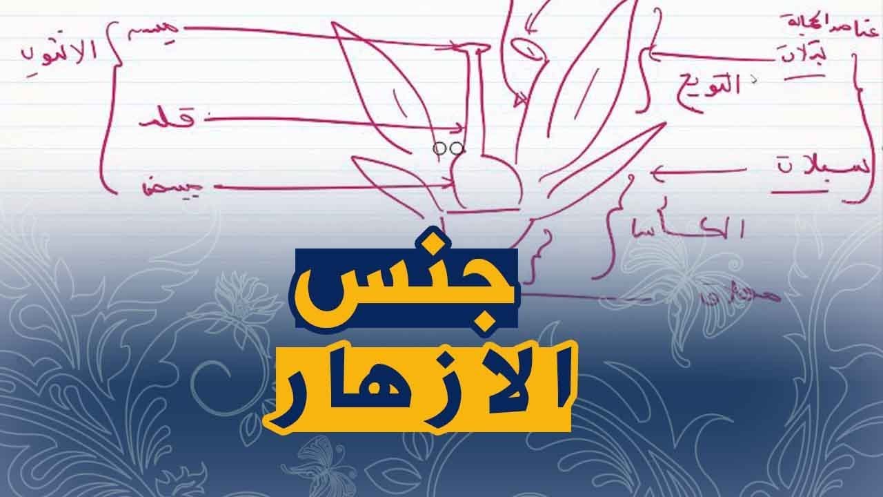 علوم طبيعية السنة اولى متوسط تمرين على التكاثر عند النباتات الزهرية