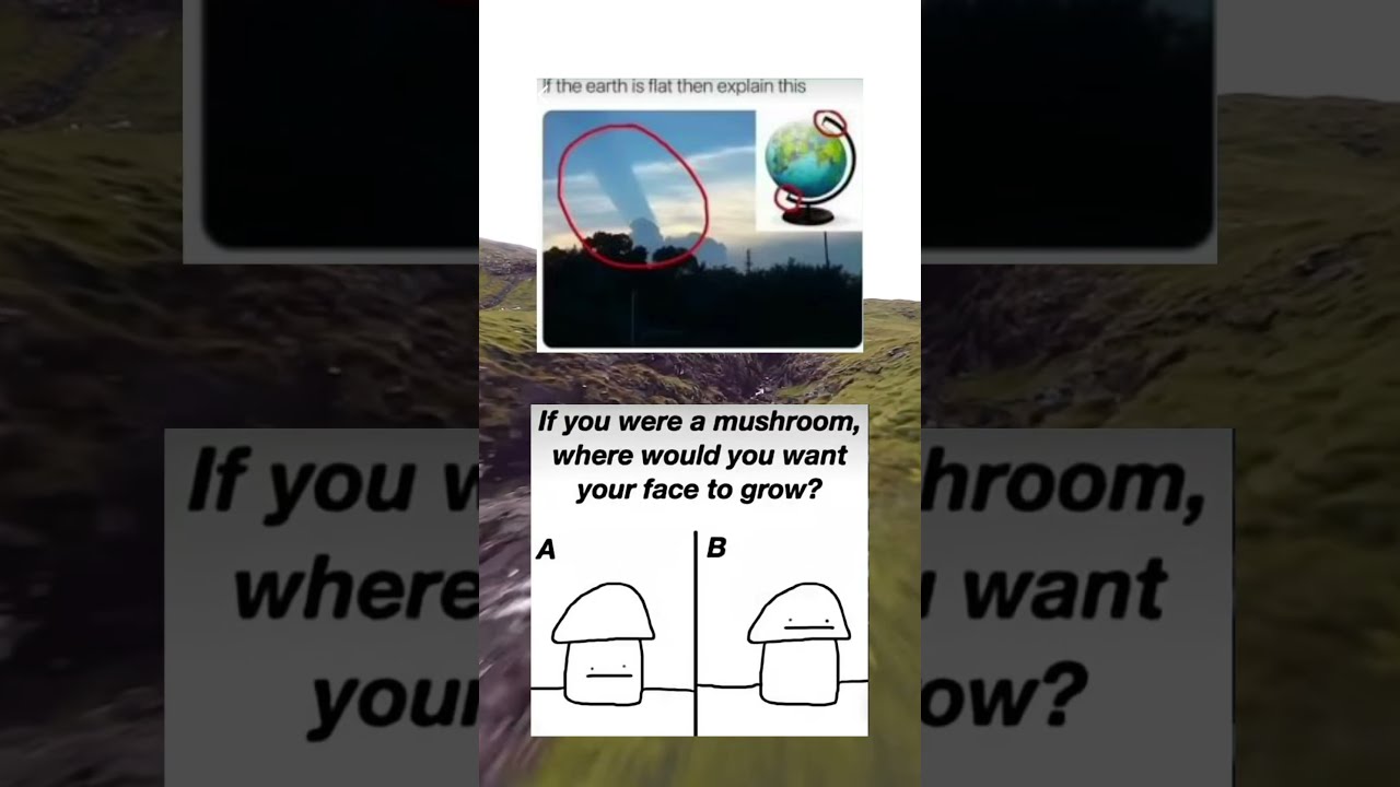 6p Funnyimages Memes Zyxabc Memesdaily