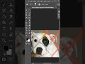 Remove dog Fence | Photoshop Tutorial #viralshorts #shorts #photoshop_tutorial #photoshop_cc