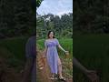 inilah sawah punyaku #jandadesa #jandacantik #sawah #suasanapedesaan