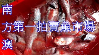 【有CC字幕】211 宜蘭南方澳第一拍賣魚市場2023 