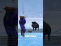 СКОТОВОДСТВО В РАСТ   #facepunch #gaming #epic #fail #gamingshorts #headshot #onlinegame #pvp #rust